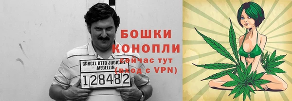 спайс Богданович