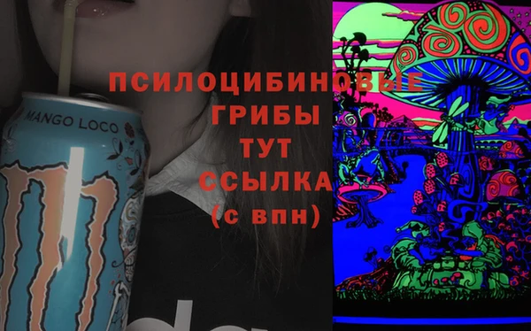 спайс Богданович