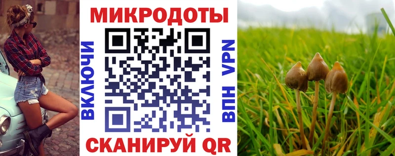 Псилоцибиновые грибы MAGIC MUSHROOMS  закладки  Ясногорск 